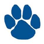 blue paw 